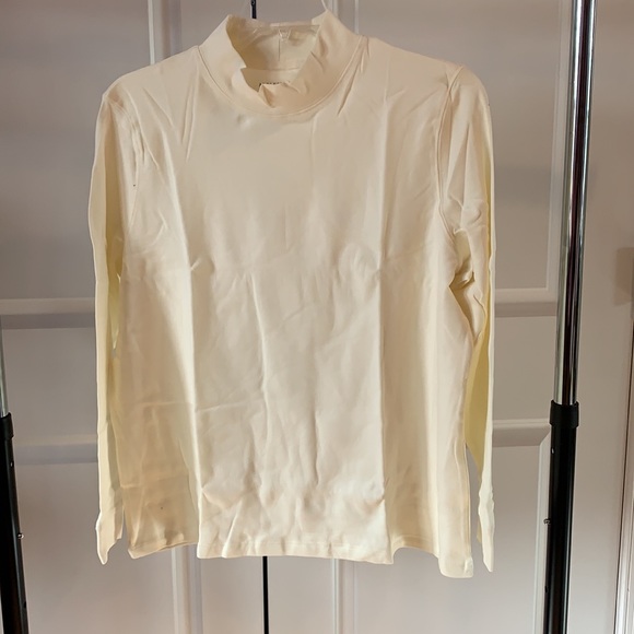 appleseeds mock turtleneck